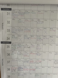 Календар Plan52Plus™ L (910)